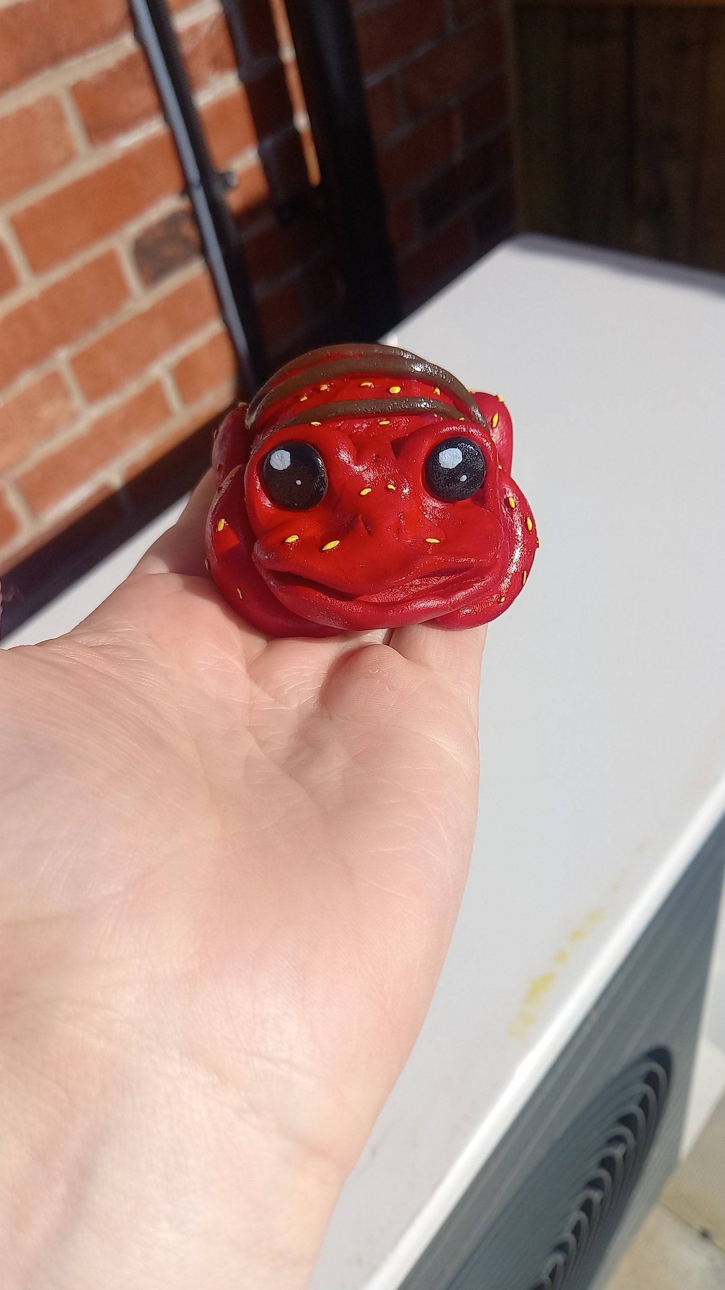Strawberry frog